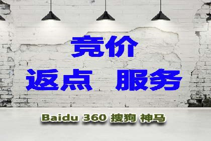 SEM推广优化技巧：实战案例精选